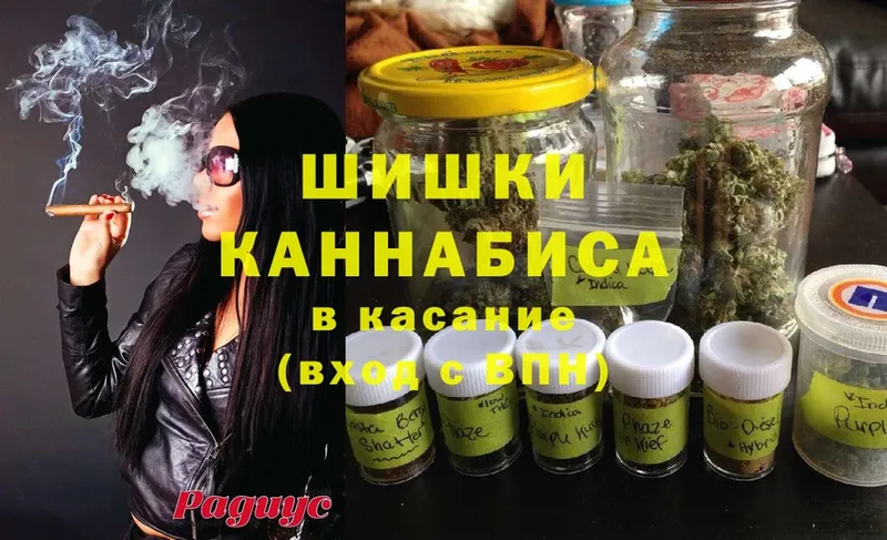 Шишки марихуана марихуана  мориарти формула  Гороховец 